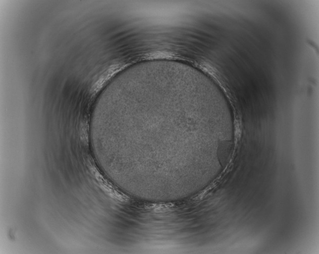 X0000100420345200806271512