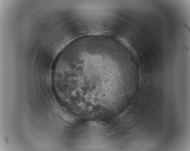 X0000100420346200806271512