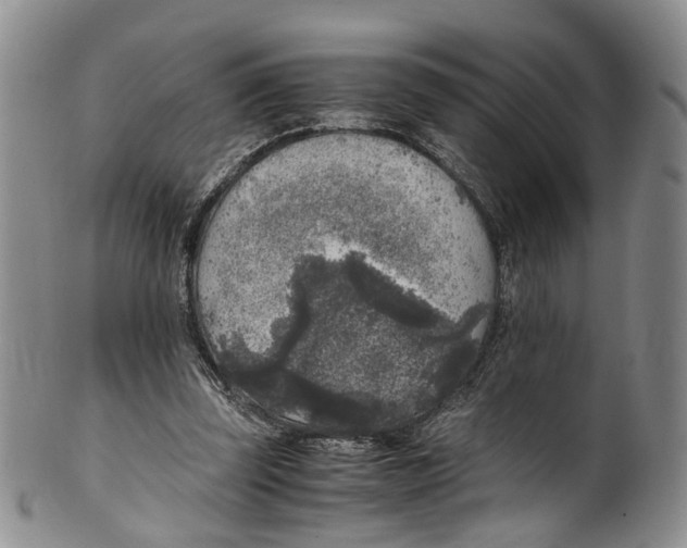 X0000100420347200806271512