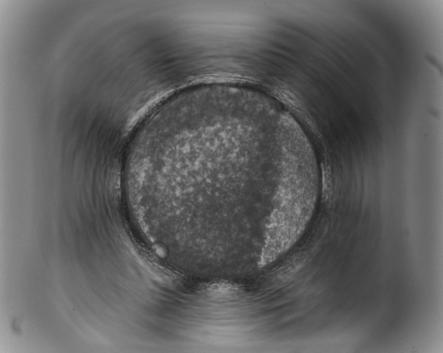 X0000100420348200806271512