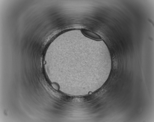 X0000100420350200806271512