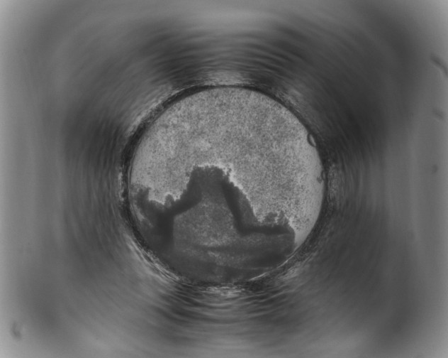 X0000100420351200806271512