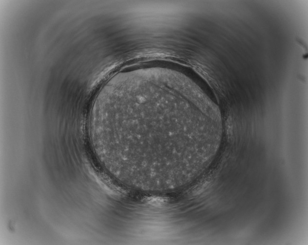 X0000100420352200806271512