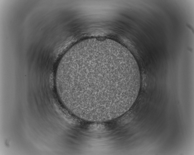 X0000100420354200806271512