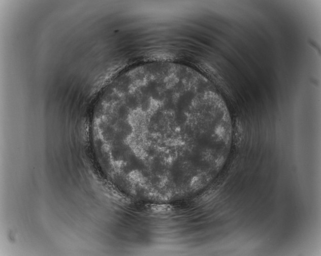 X0000100420355200806271512