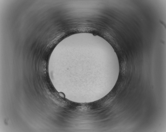 X0000100420356200806271512