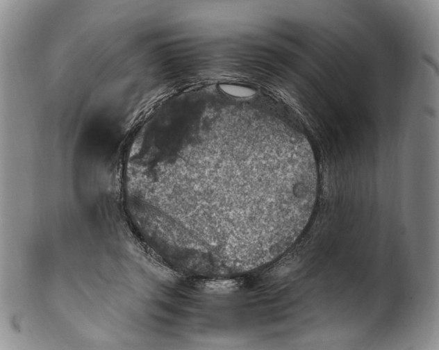 X0000100420357200806271512