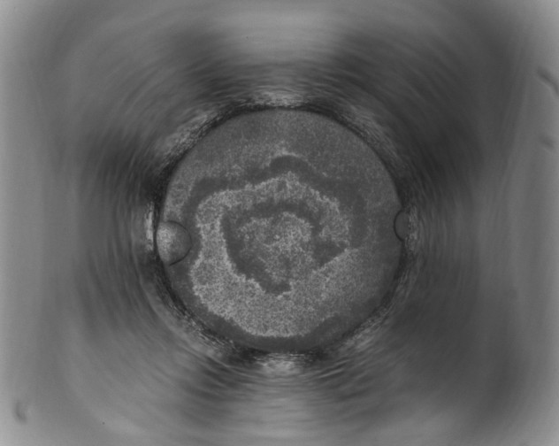 X0000100420358200806271512