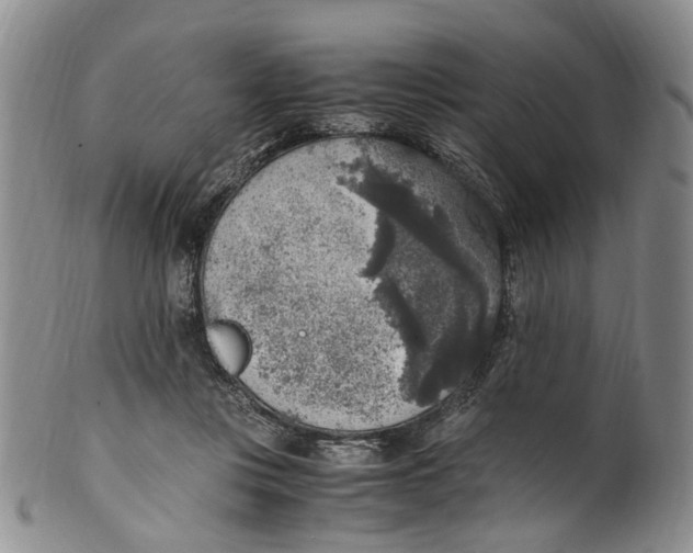 X0000100420359200806271512