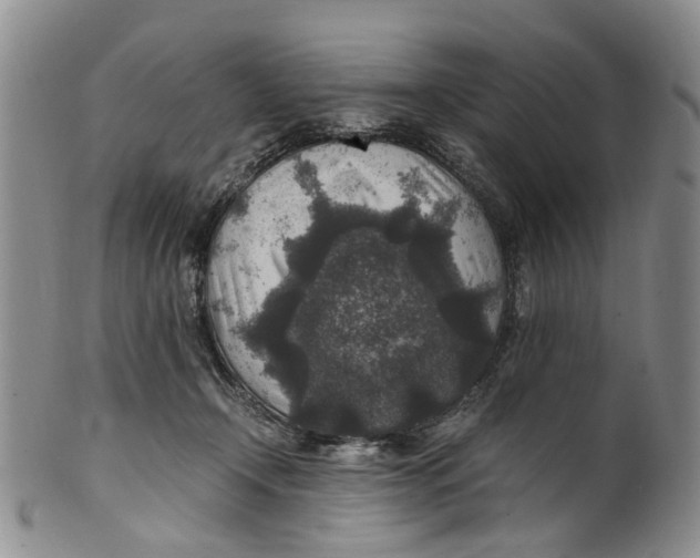 X0000100420366200806271513