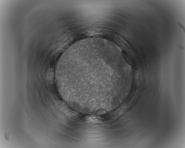 X0000100420372200806271513