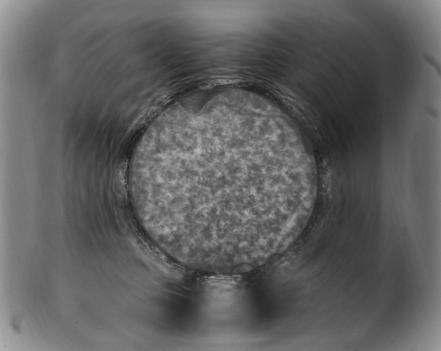 X0000100420373200806271513