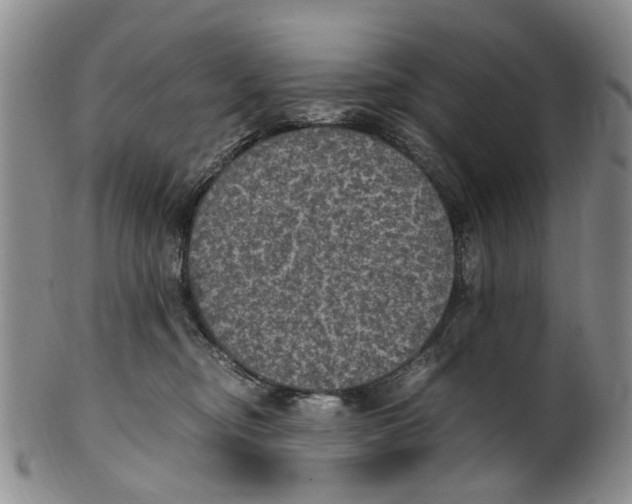 X0000100420374200806271513