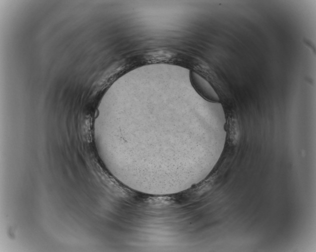 X0000100420378200806271513