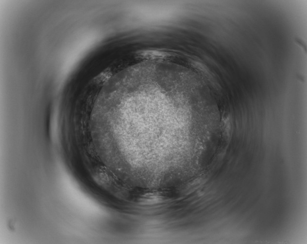 X0000100420381200806271513