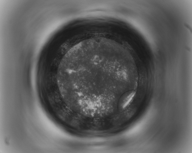 X0000100420383200806271513