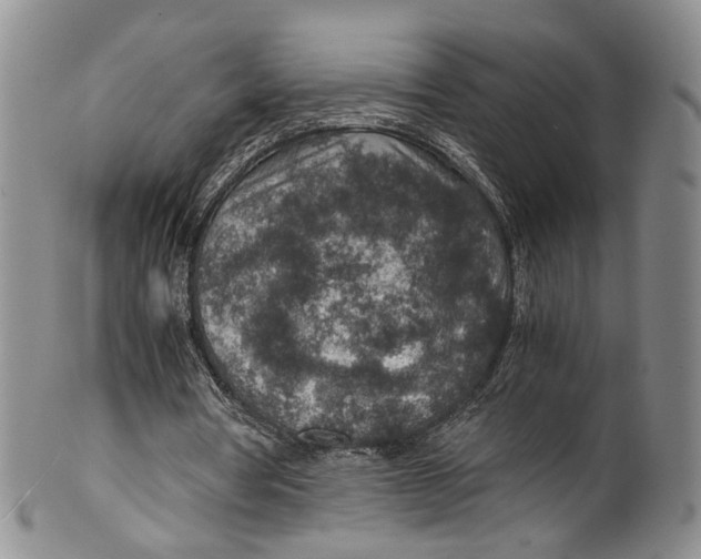 X0000100420386200806271512