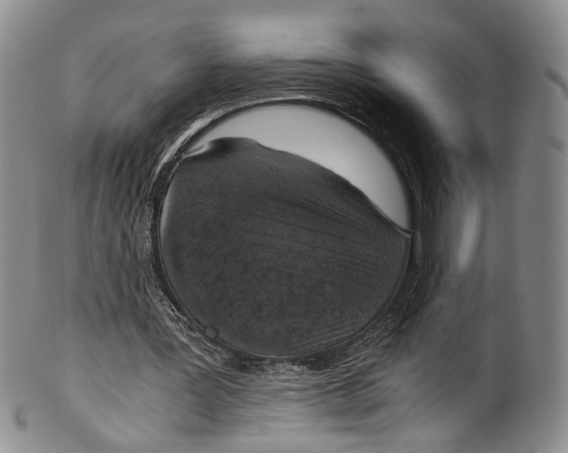 X0000100420387200806271512