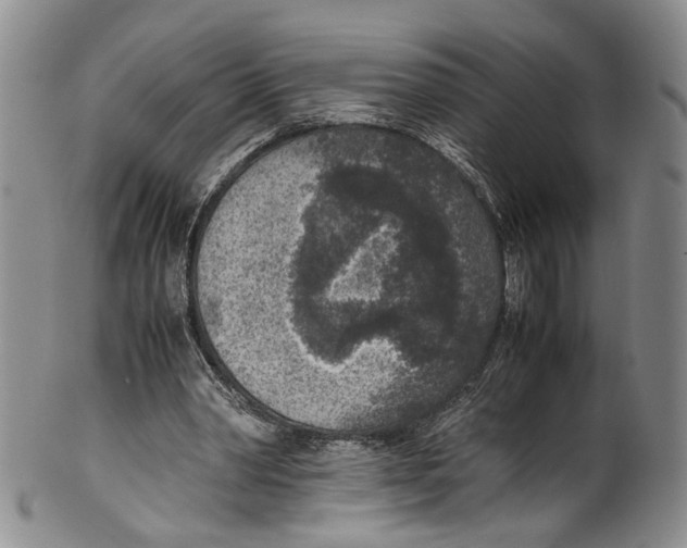 X0000100420390200806271512