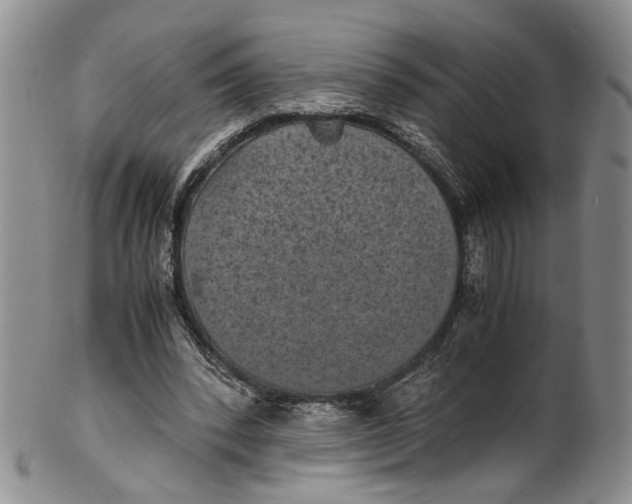 X0000100420392200806271512