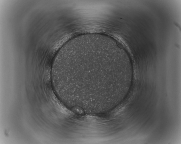 X0000100420393200806271512