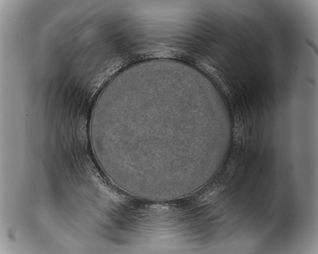 X0000100420394200806271512