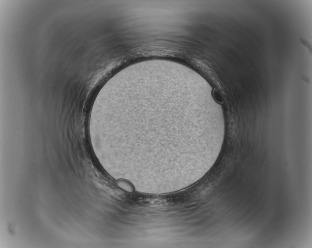 X0000100420395200806271512