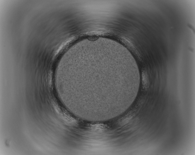 X0000100420396200806271512