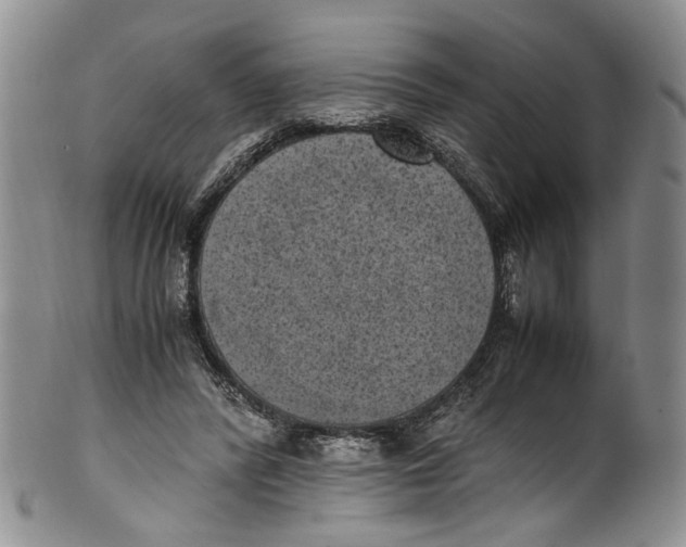 X0000100420400200806271512