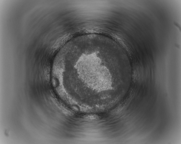 X0000100420402200806271512