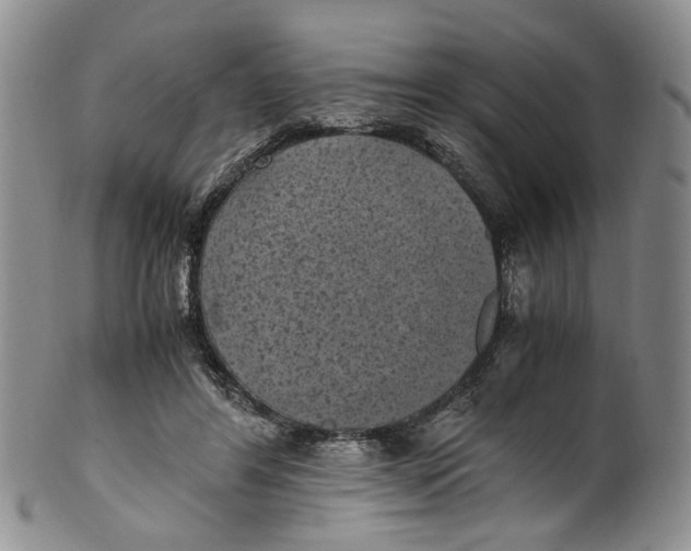 X0000100420404200806271512