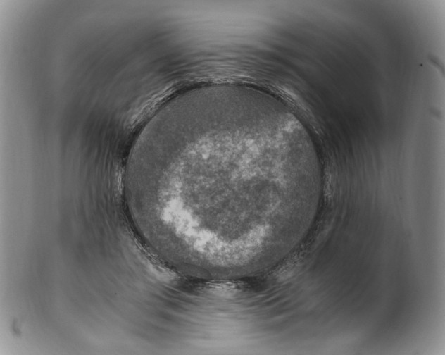 X0000100420405200806271512