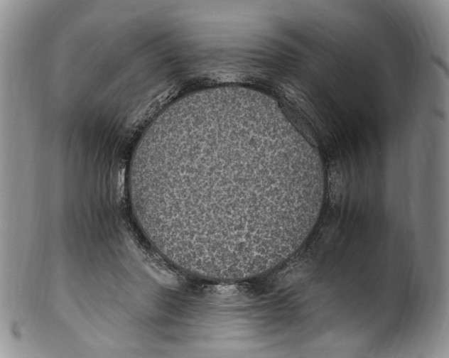 X0000100420406200806271512