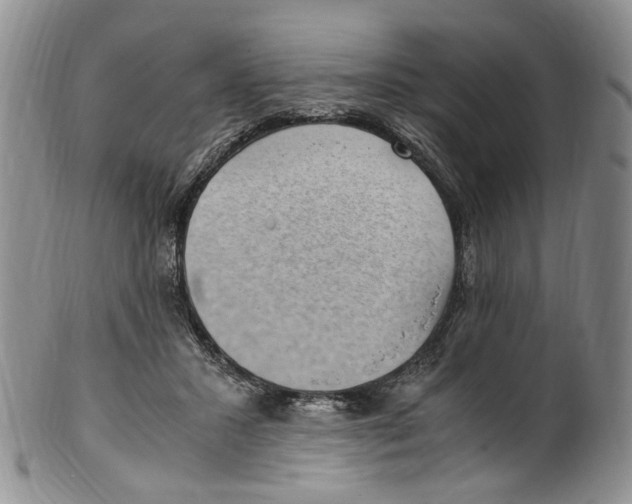 X0000100420407200806271512