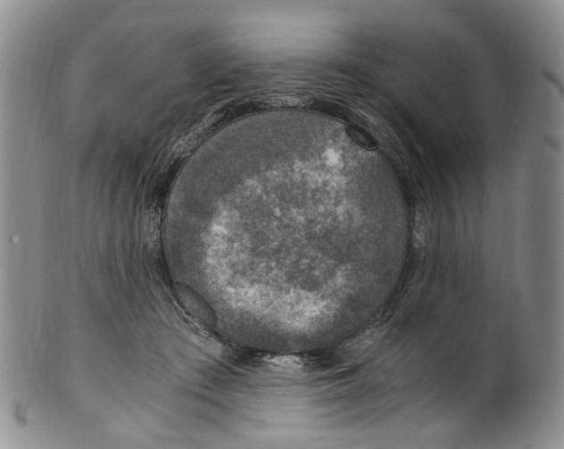 X0000100420409200806271512