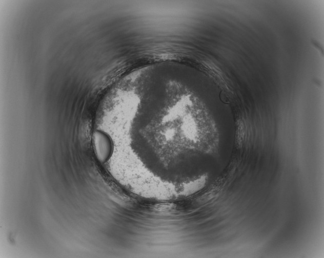 X0000100420410200806271512