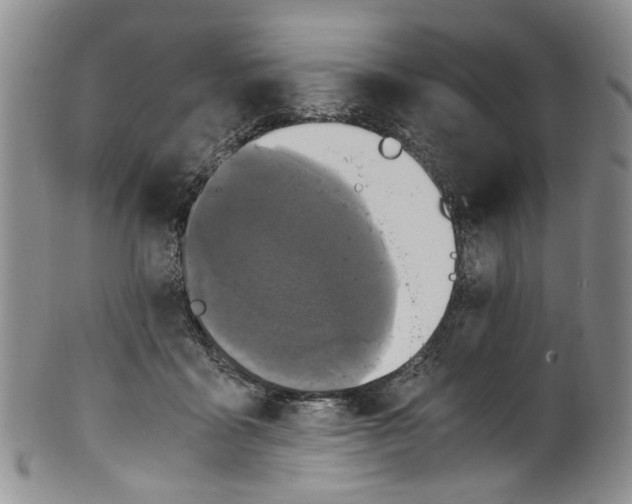 X0000100420411200806271512