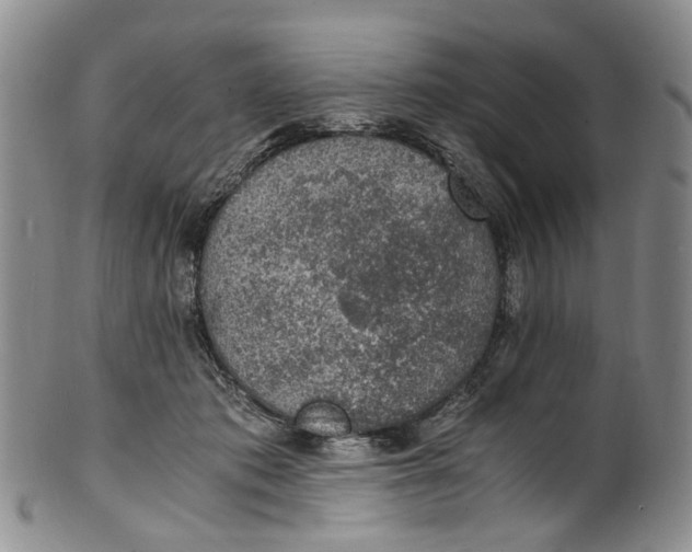 X0000100420413200806271512