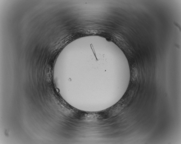 X0000100420414200806271512