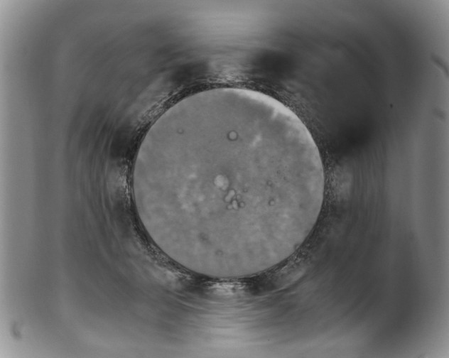 X0000100420415200806271512