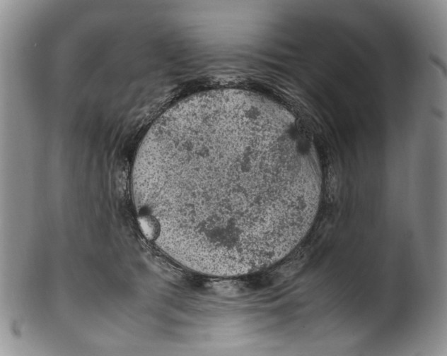 X0000100420417200806271512