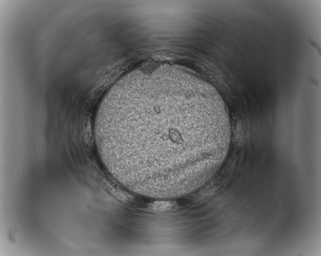 X0000100420418200806271512