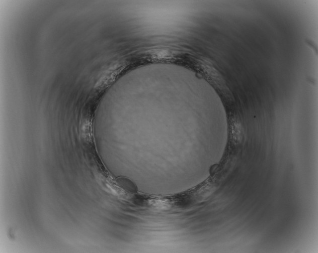 X0000100420419200806271512