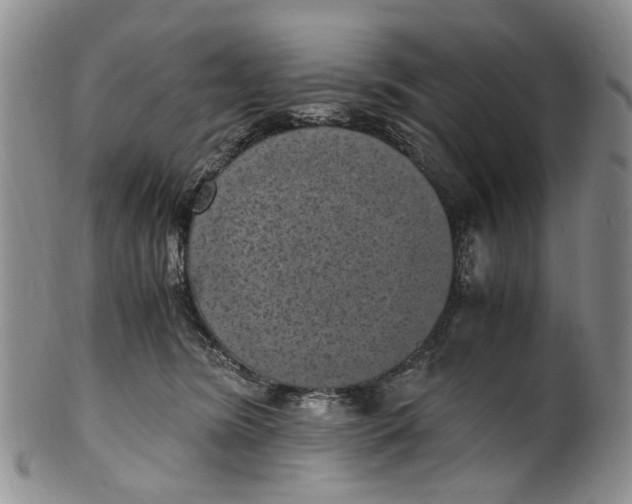 X0000100420420200806271512