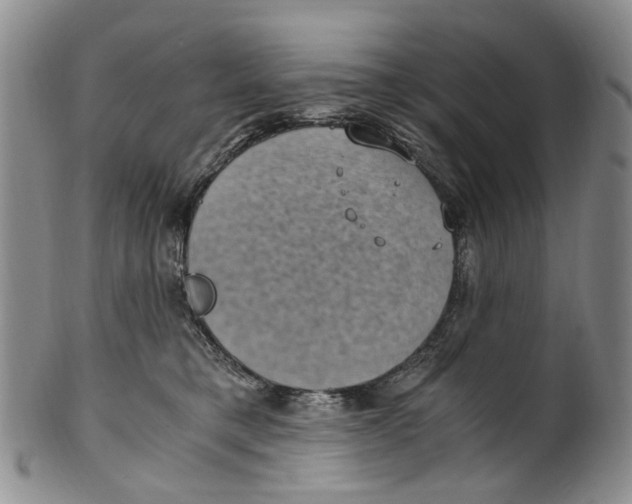 X0000100420421200806271512