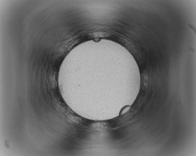 X0000100420422200806271512