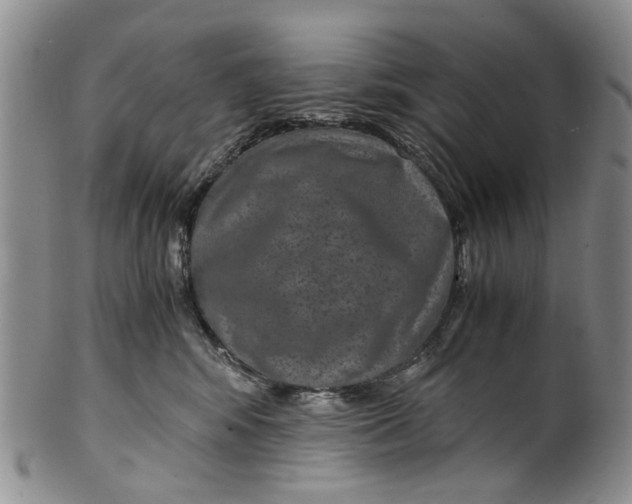 X0000100420424200806271512