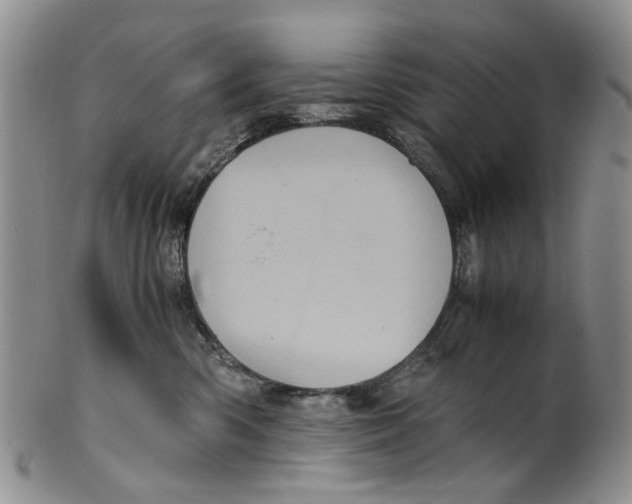 X0000100420426200806271512