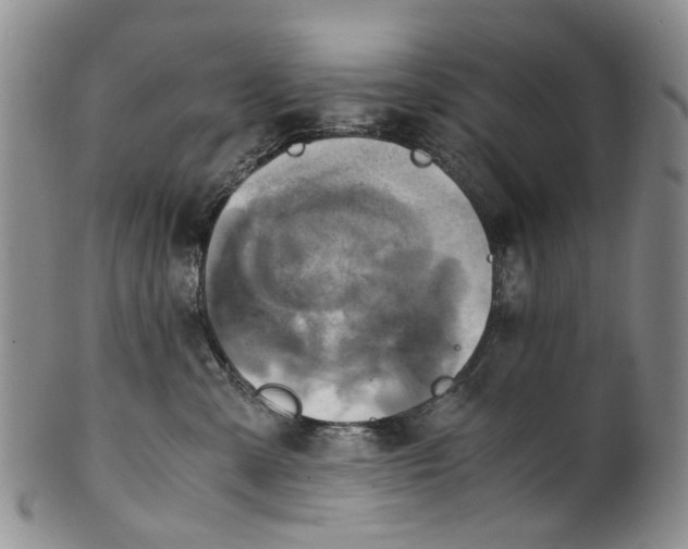 X0000100420427200806271512