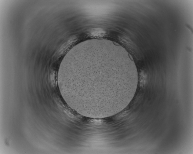 X0000100420428200806271512